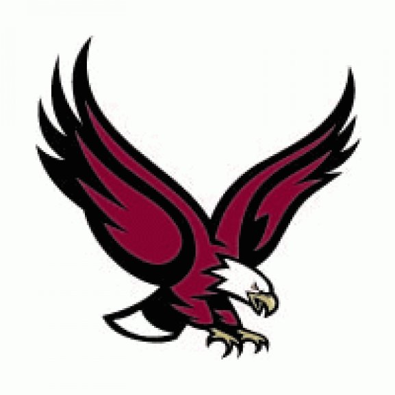 Boston_College_Eagles115[1] Logo